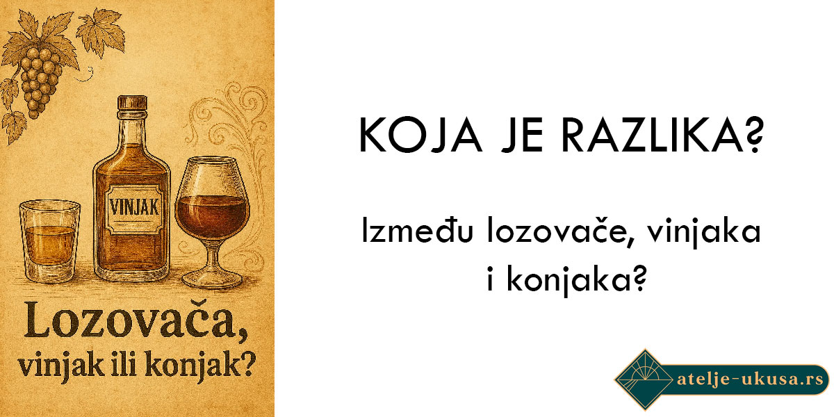 Koja je razlika između lozovače, vinjaka i konjaka?