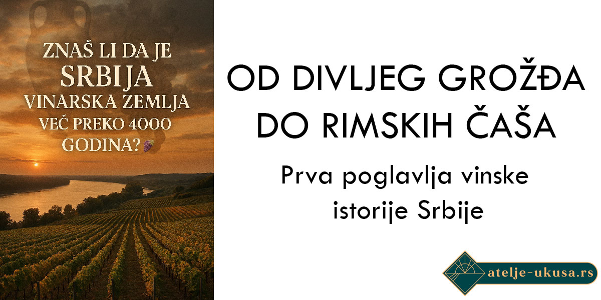 Od divljeg grožđa do rimskih čaša: Prva poglavlja vinske istorije Srbije