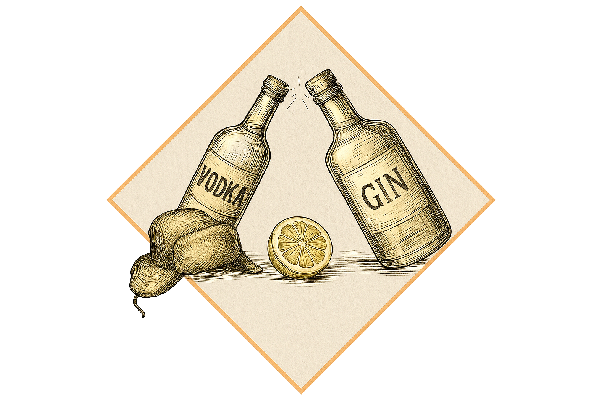Votka i Džin